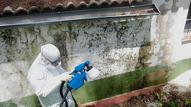 Trusted Mold Testing service in Dunn, NC - Cheap Mold Removal